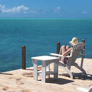 Meet your Posher, Molly